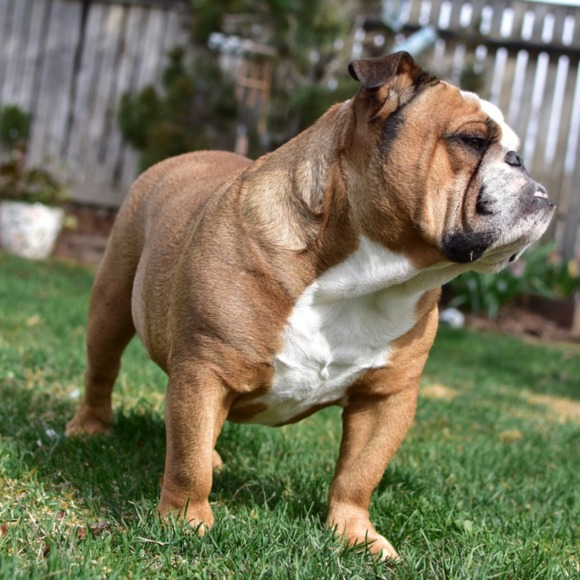 Meet your Posher, Jeffrey - Picture 1 of 1